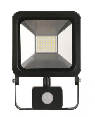 Reflector Floodlight LED AG-HFLAL10W-P, 10W, 800 lm, IP44, sensor