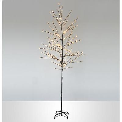 Tree  Adeline Cherry Tree, 150 cm