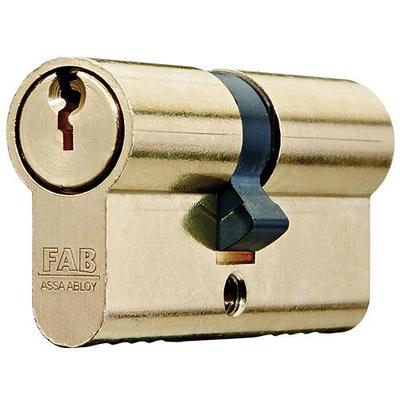 Cylinder FAB 100D, shared key