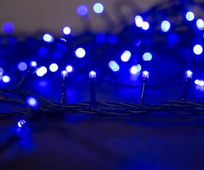 Christmas Light MagicHome Christmas Serpens, 100 LED blue 8 functions, 230 V, 50 Hz, IP44, exterior,