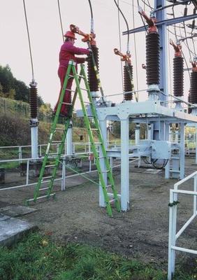 Laminate ladder ALVE 5530, 2x10, universal