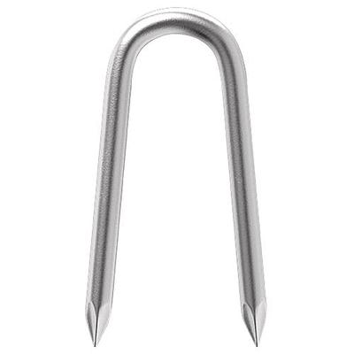 Clamp nails 2868 30x3,1mm