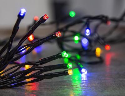 Christmas Light MagicHome Christmas Ceibo, 96 LED multicolor, 8 functions, timer,  3xAA, exterior, L