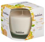 Candle Bolsius Jar True Moods 95/95 mm, feel happy (mango and bergamot)