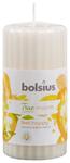Candle Bolster Pillar True Moods 120/60 mm, feel happy (mango and bergamot)