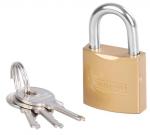 Padlock Strend Pro FT 25 mm, hanging, gold