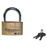 Brassed padlock 60 mm Blossom