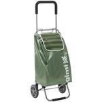 Shopping trolley GIMI Flexi, green