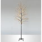 Tree  Adeline Cherry Tree, 150 cm