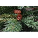 Tree Mendoza, 240 cm, combined pine-spruce