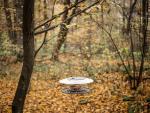 Feeder Birdyfeed Round, Stone gray, 29,4x25,8x12,2 cm, for birds