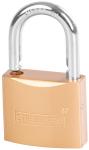 Padlock Strend Pro FT 50 mm, hanging, gold