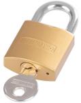 Padlock Strend Pro FT 25 mm, hanging, gold