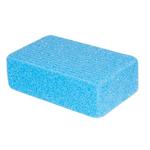 Cosmetic pumice