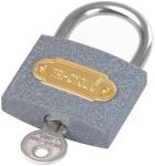 Padlock IRON 50 mm GrayPAD