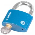 Padlock 63 mm Blossom, 3 keys