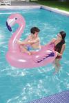 Flamingo Bestway® 41122, 127 cm, inflatable