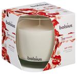 Candle Bolsius Jar True Moods 95/95 mm, get cozy (baked apple and cinnamon)