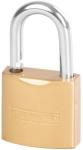 Padlock Strend Pro FT 25 mm, hanging, gold