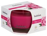 Candle Bolsius Jar True Scents 63/90 mm, peony