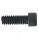 Screw 1/4 for multipe tool 119176